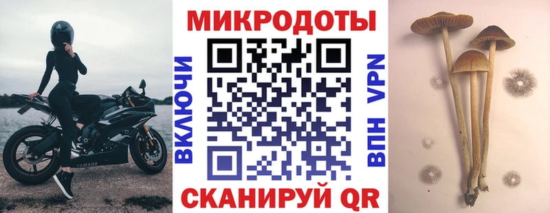 Галлюциногенные грибы MAGIC MUSHROOMS Белинский