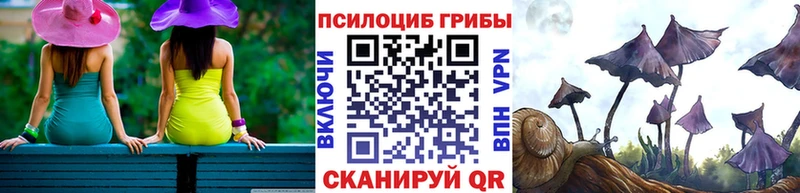 магазин продажи   shop наркотические препараты  Псилоцибиновые грибы Magic Shrooms  Белинский 