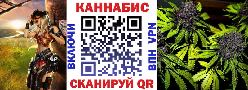 Конопля сатива  Белинский 